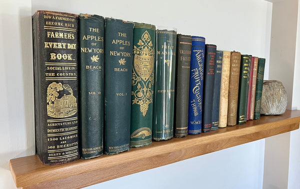 An Extraordinary Heirloom Gift