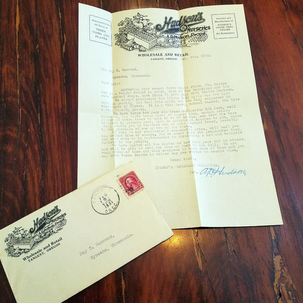 hudsons golden gem apple tree