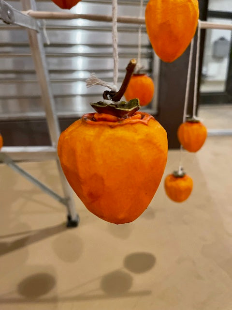 The Art of Hoshigaki