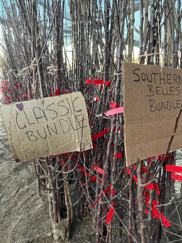 A Bundle of Savings!