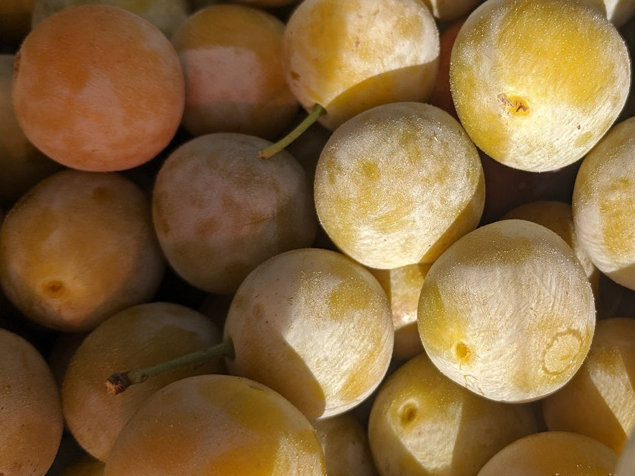 Close-up of a pile of yellow fruits with a clear container in the foreground.