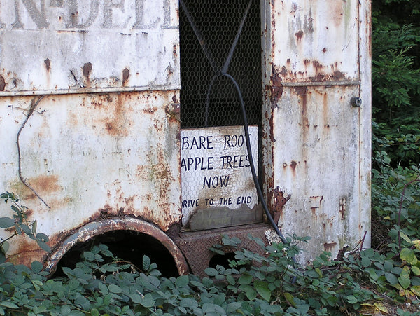 trees of antiquity pick up paso robles