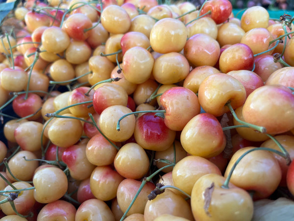 Close-up of a pile of yellow and red cherries with green stems.