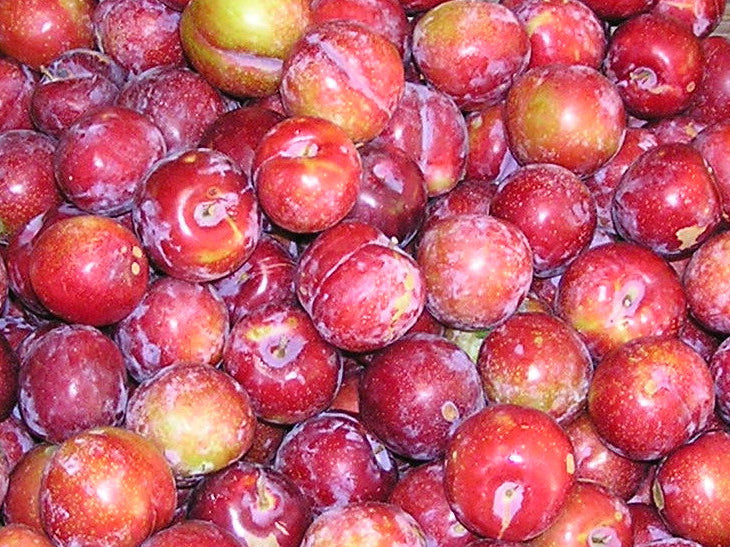 Stack of plums on a wooden platform with a partially visible background