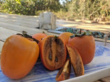 Chocolate Persimmon