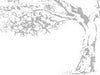 heirloom fruit trees for sale